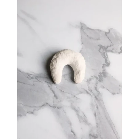 Corne de Gazelle Tunisienne